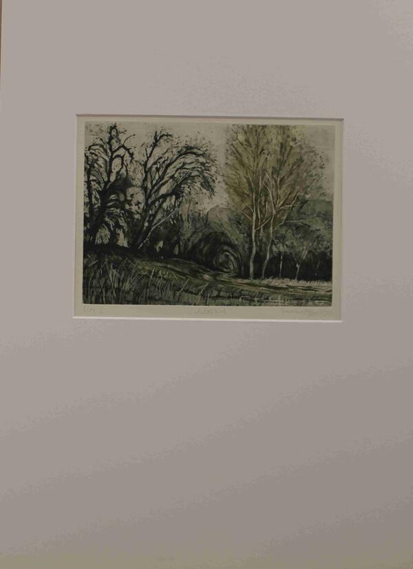 Bild vergr&ouml;&szlig;ern: Waldst�ck