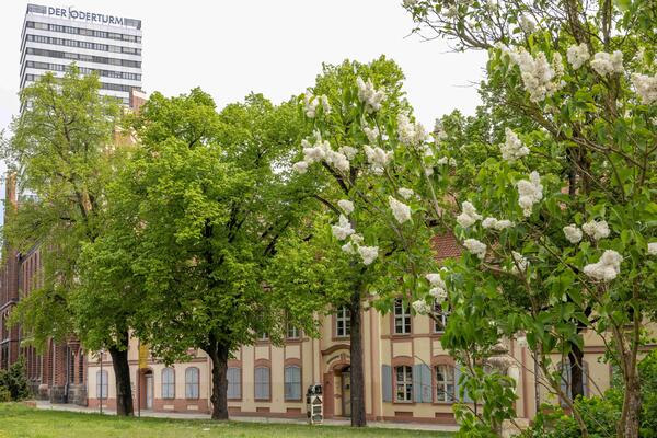 Bild vergr&ouml;&szlig;ern: Haus der K�nste