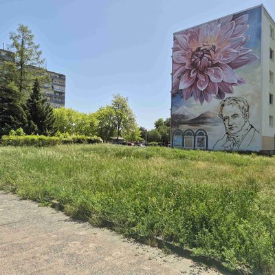 Bild vergr&ouml;&szlig;ern: 2026_05_26_Urban Art_WoGe S�d_Birkenallee (2)